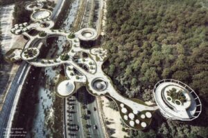 AA-Life-Bridge4-1200x800