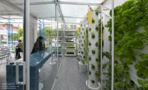 Zest_Cafe_-_Photo_by_Vahid_Joudi__38_