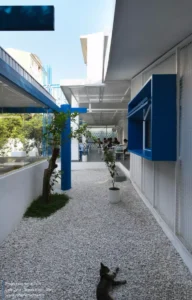 Zest_Cafe_-_Photo_by_Vahid_Joudi__39_