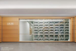 beijing-sub-center-library-snohetta_11