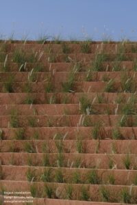 hampi-art-labs-sameep-padora-and-associates_25 (2)