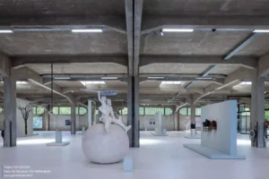 موزه هنر فنیکس | Fenix Art Museum