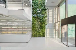 072A7035-copy-scaled