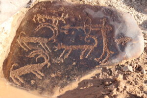 ارسال پرونده ثبت ملی محوطه تاریخی سنگ‌نگاره‌های چنارستان دلیجان به وزارت میراث‌فرهنگی