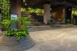 AA-Cinema-Topography-20-scaled