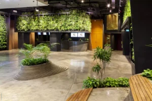 AA-Cinema-Topography-24-scaled