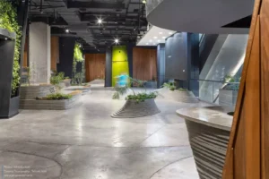 AA-Cinema-Topography-3-scaled