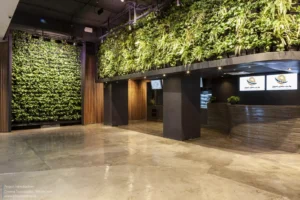 AA-Cinema-Topography-32-scaled