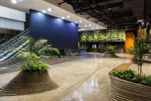 AA-Cinema-Topography-33-scaled