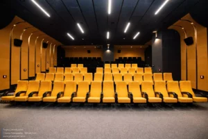 AA-Cinema-Topography-36-scaled