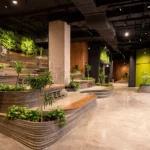 سینما توپوگرافی