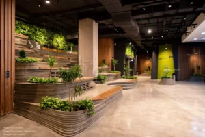 سینما توپوگرافی