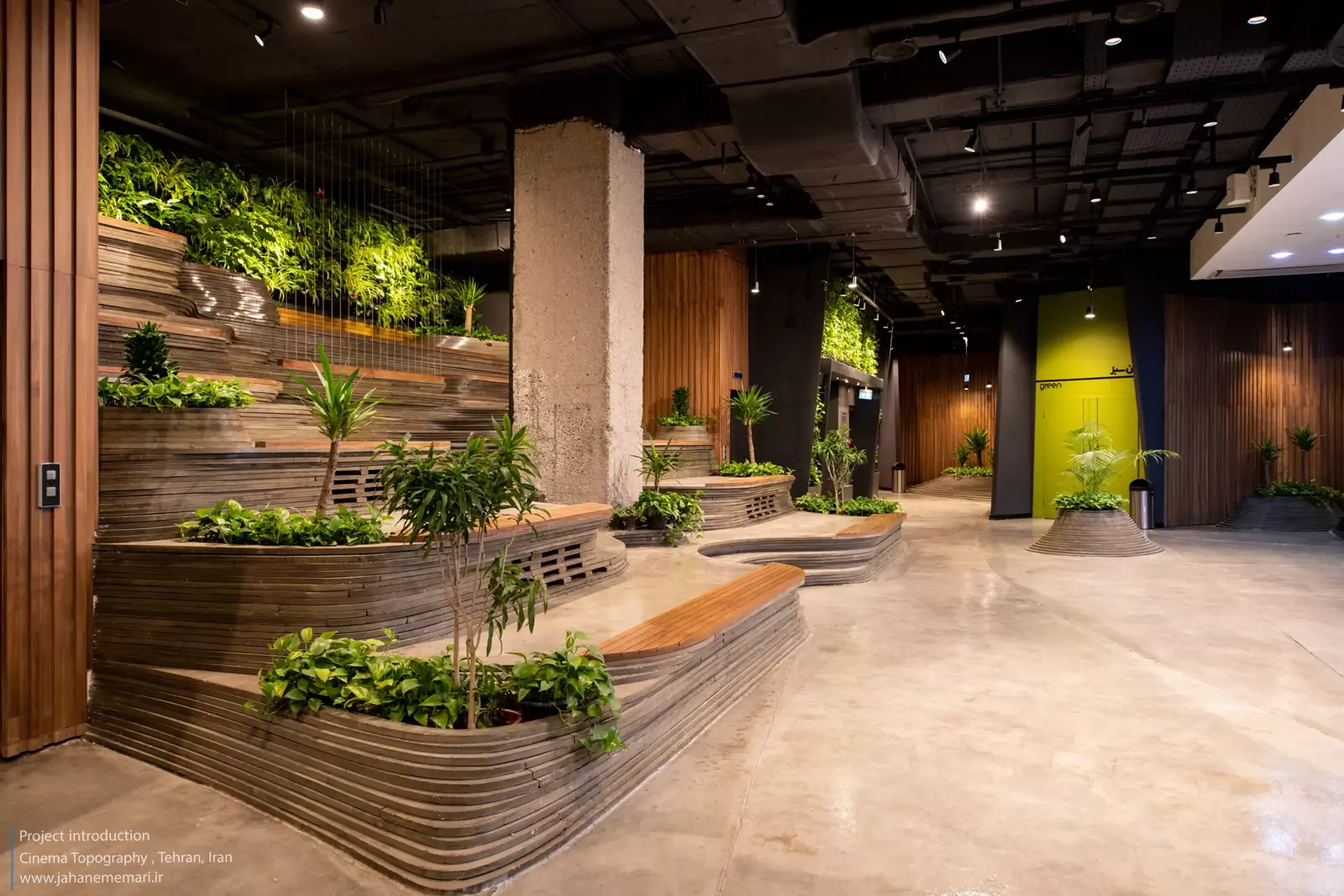 سینما توپوگرافی