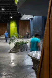 AA-Cinema-Topography-4-scaled