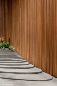 AA-Cinema-Topography-9-scaled