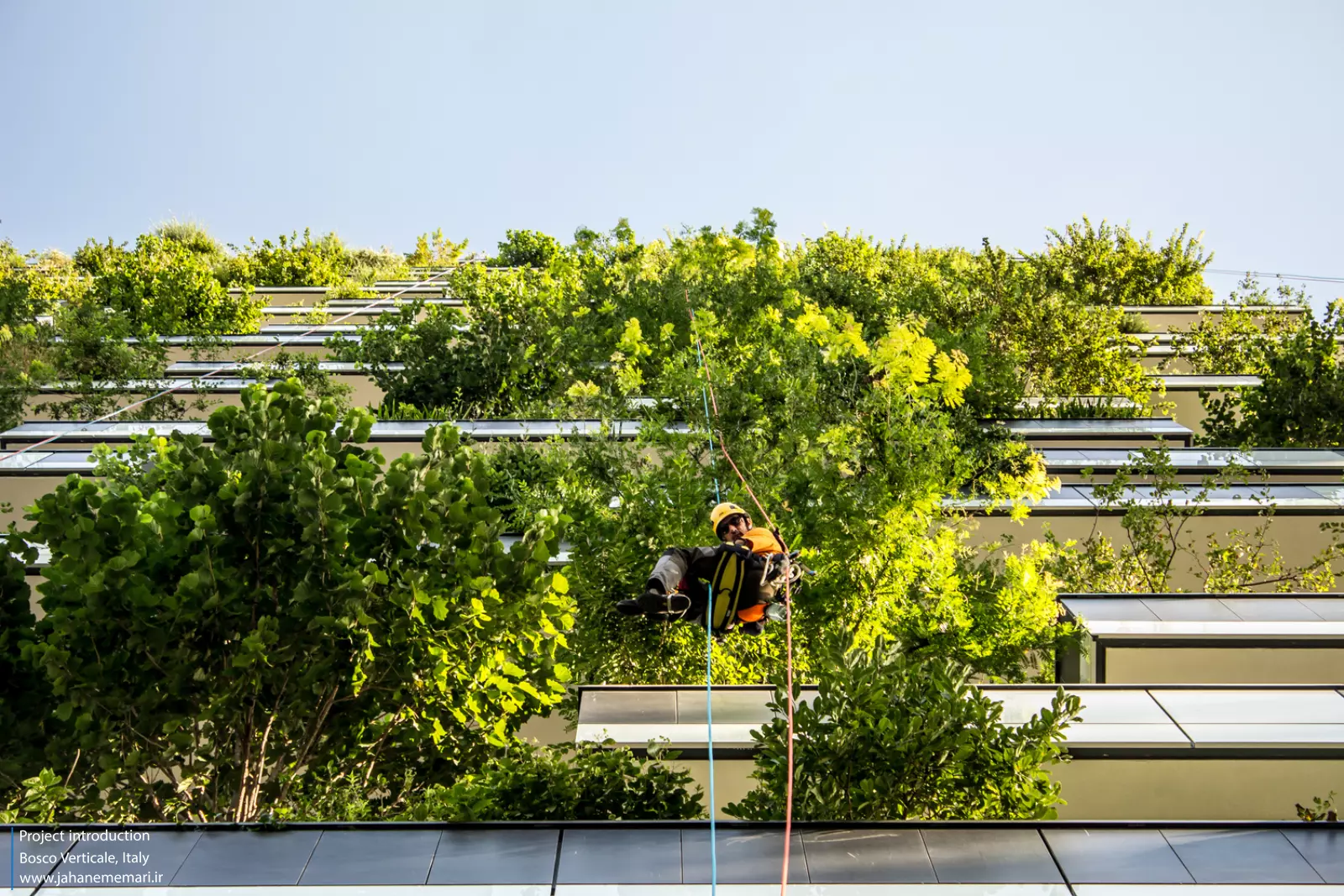 برج‌های جنگل عمودی Bosco Verticale