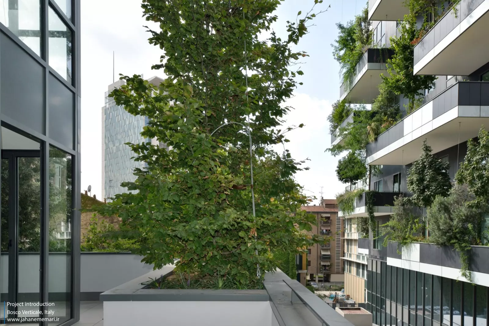 برج‌های جنگل عمودی Bosco Verticale