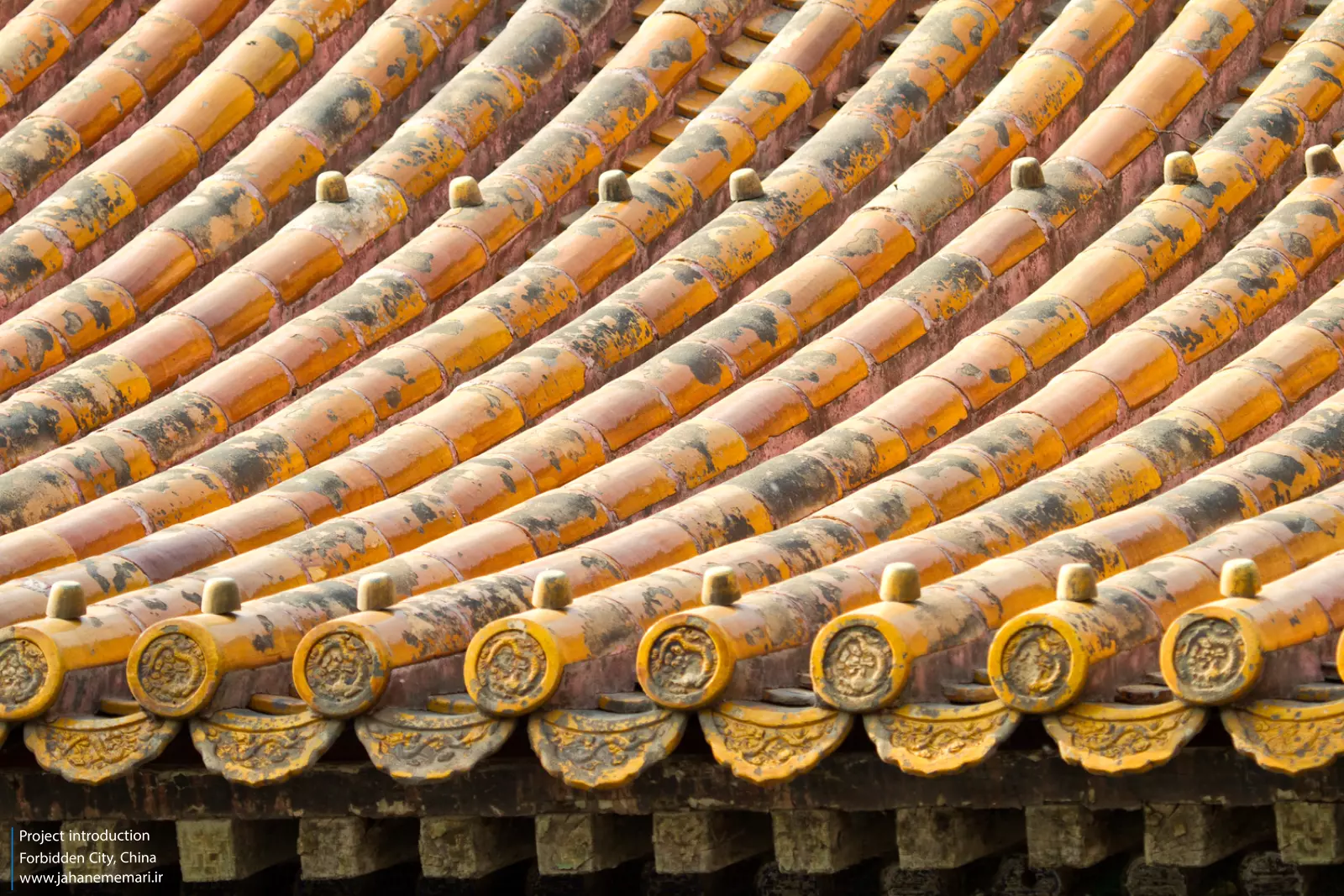 شهر ممنوعه Forbidden City