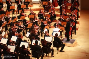 مرکز جهان جدید New World Center