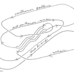 موزه جدید آکروپولیس | New Acropolis Museum