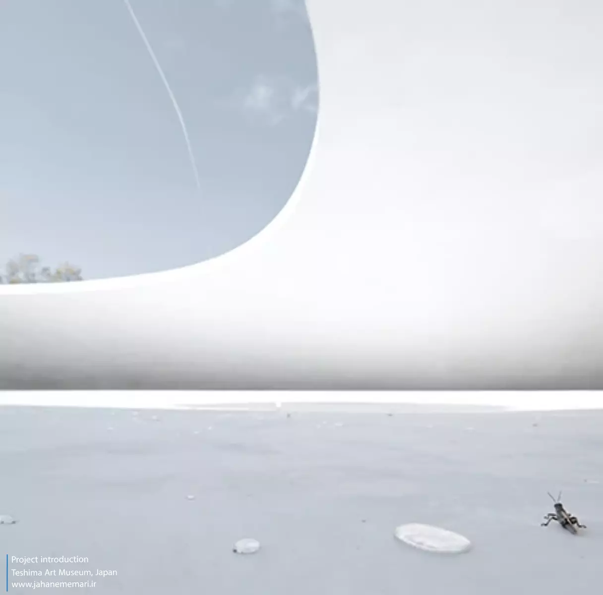 موزه هنر تشیما Teshima Art Museum