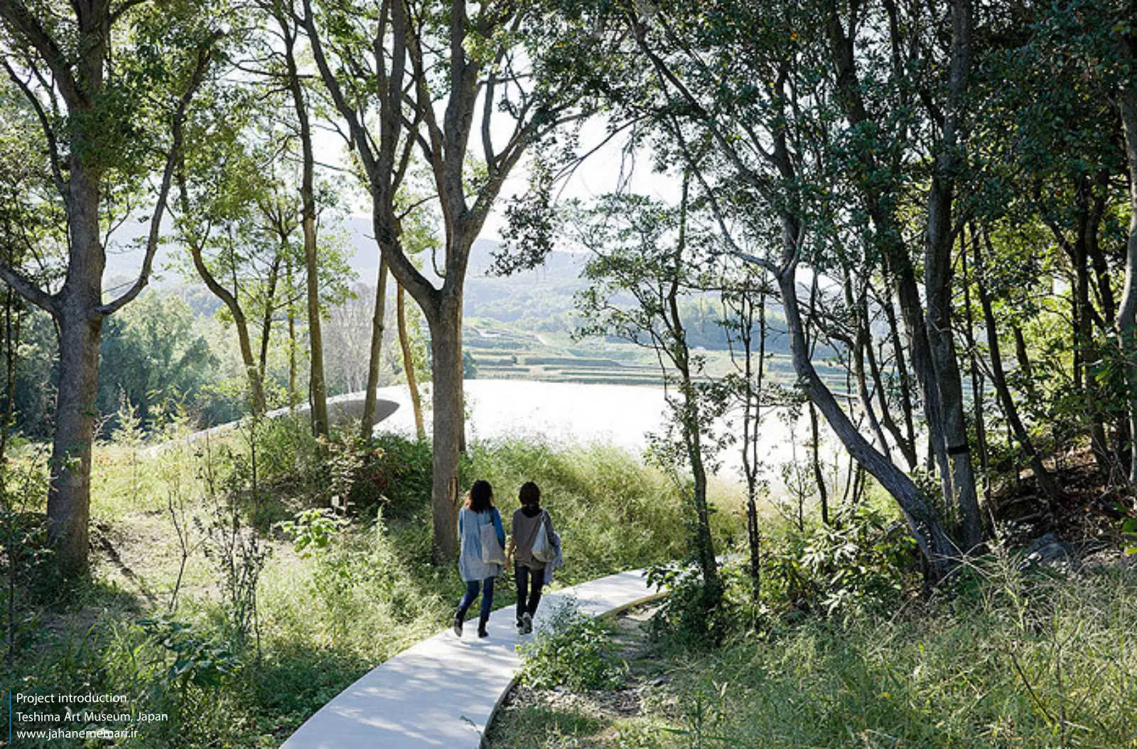 موزه هنر تشیما Teshima Art Museum