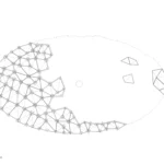 موزه کوآی برانلی Musée du quai Branly