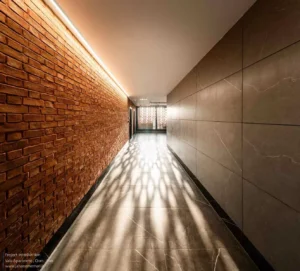 Amirhossein_Pashaei.10