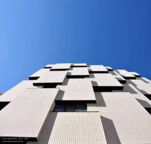 Amirhossein_Pashaei.2