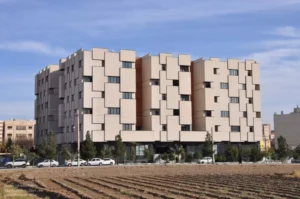 Amirhossein_Pashaei.3