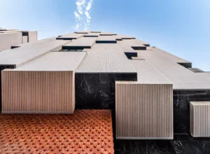 Amirhossein_Pashaei.7