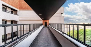 Amirhossein_Pashaei.8