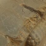 یادگاری‌ نویسی تخت‌جمشید پاک شد