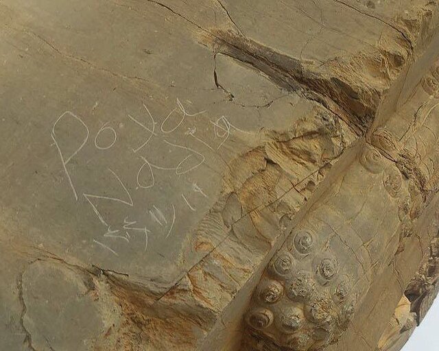 یادگاری‌ نویسی تخت‌جمشید پاک شد